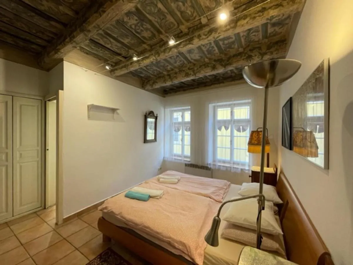 Historical Apartment With Balcony براغ